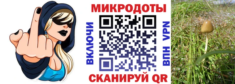даркнет сайт  Оханск  OMG как зайти  Псилоцибиновые грибы мухоморы 